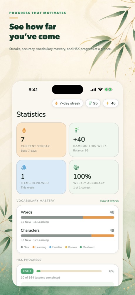 Statistics showing streak, mastery tiers and progress across HSK levels